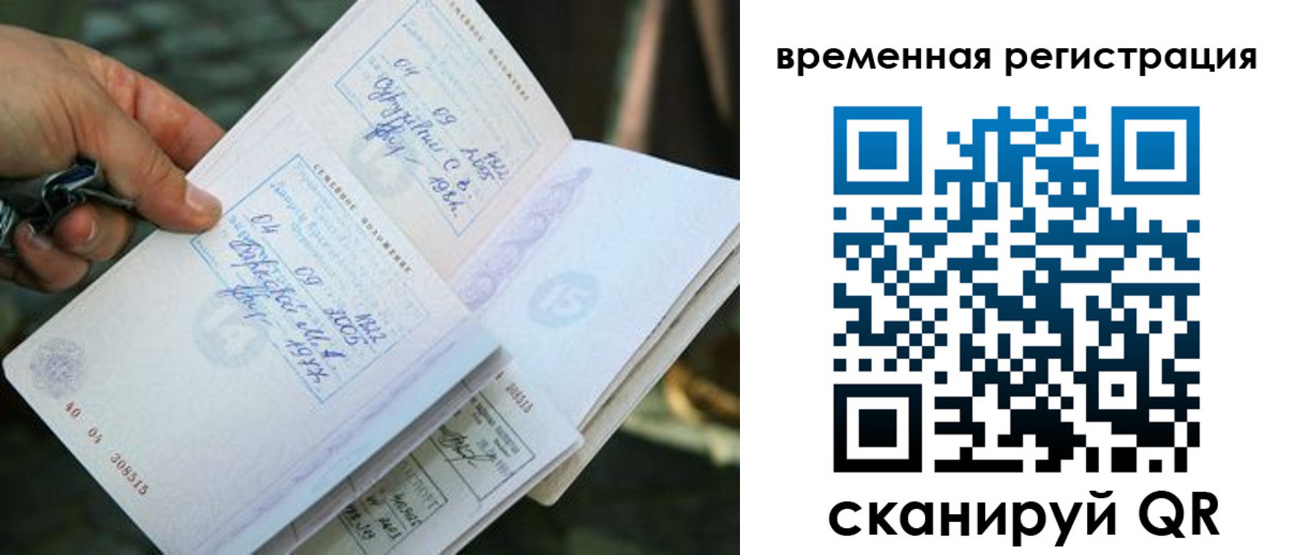 прописка для школы в Сочи